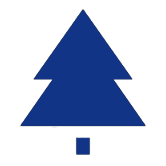 ic2 - Texas Real Estate Inspection Services