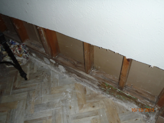 mold mold - Texas Real Estate Inspection Services