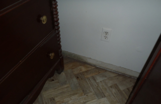 mold3-1 mold3 1 - Texas Real Estate Inspection Services