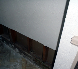 mold4 mold4 - Texas Real Estate Inspection Services